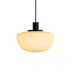 Contemporary Curved Resin Pendant Light