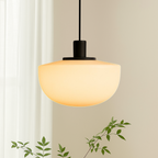 Curved resin pendant light