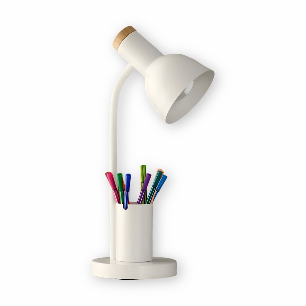 Flexible Neck LED Desk Lamp with Storage Base