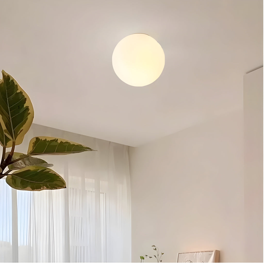 Frosted Glass Globe Wall Lamp – Warm or White Light