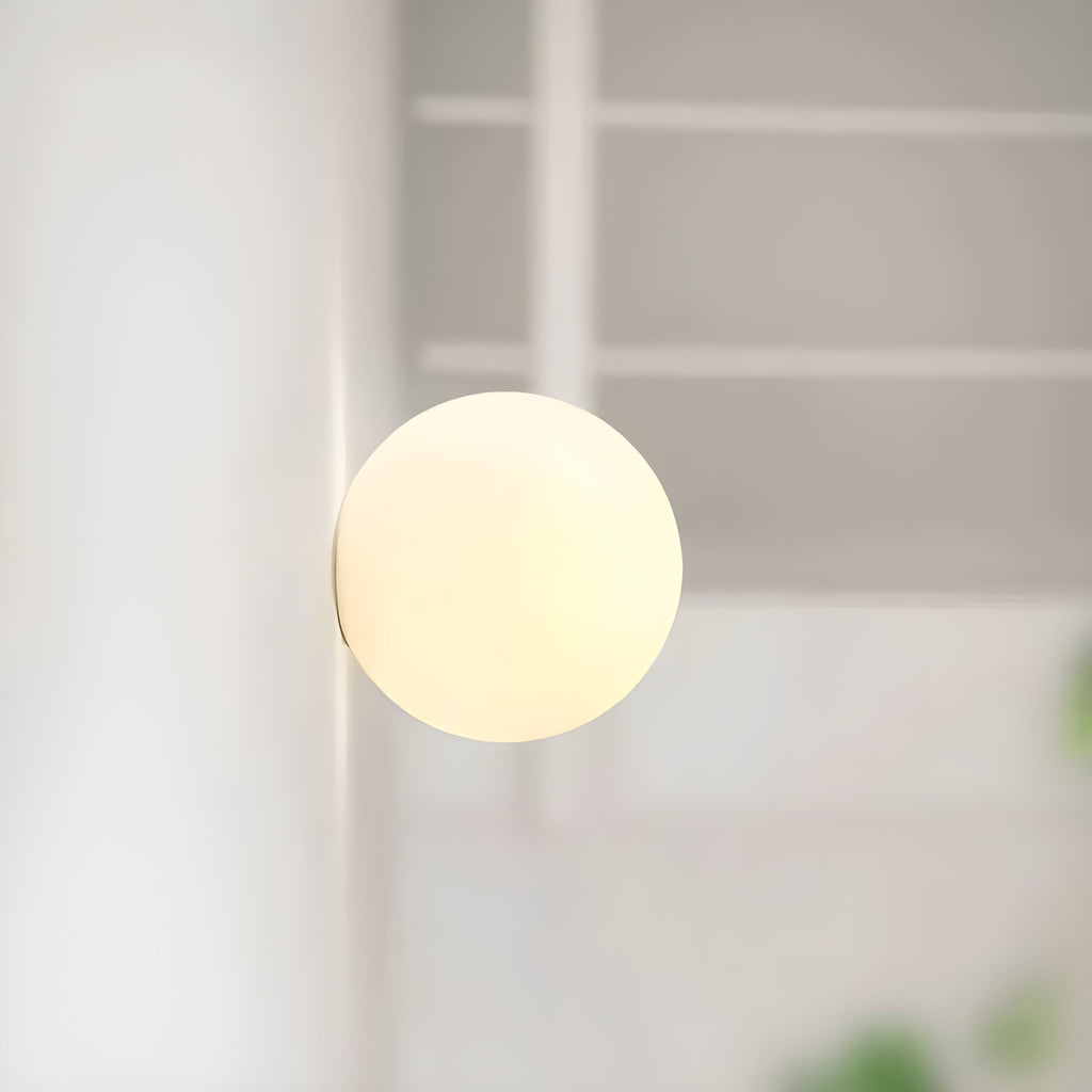 Frosted Glass Globe Wall Lamp – Warm or White Light