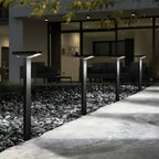 Solar LED T-post pathway lights