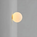 Frosted Glass Globe Wall Lamp – Warm or White Light