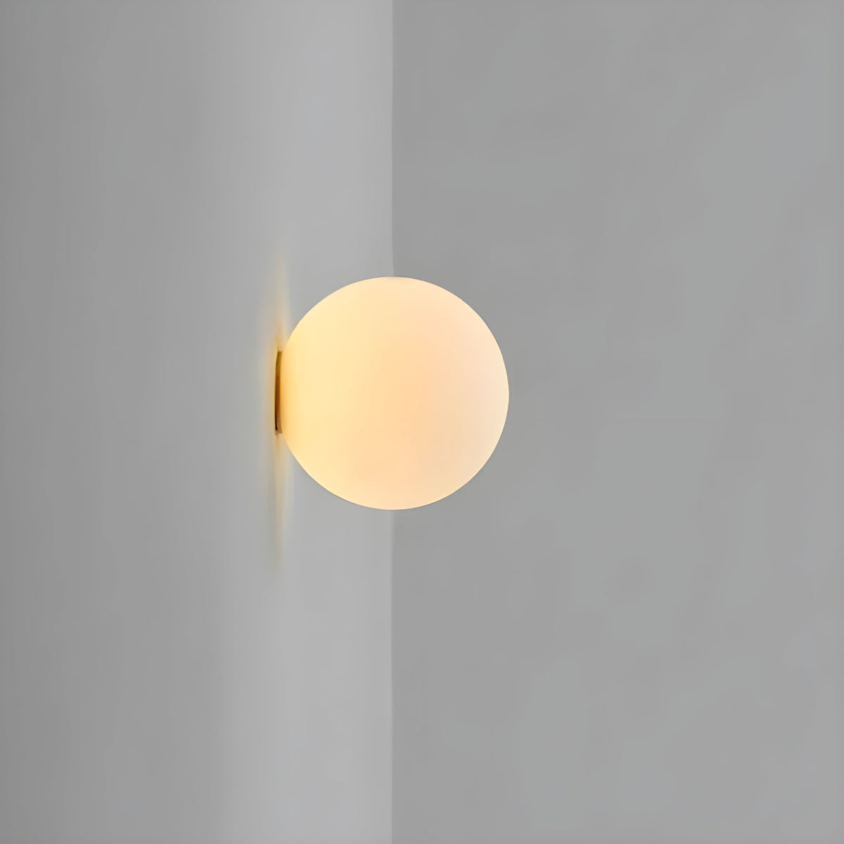 Frosted Glass Globe Wall Lamp – Warm or White Light