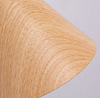 Scandinavian Wooden Cone Wall Sconce