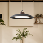 Scandinavian oval pendant light