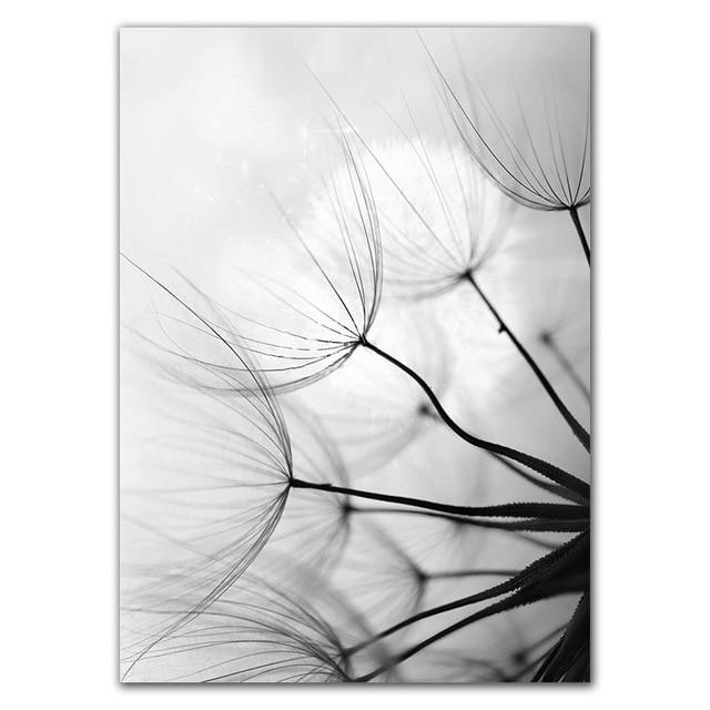 Black & White Dandelion Botanical Canvas Wall Art Print