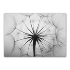 Black & White Dandelion Botanical Canvas Wall Art Print