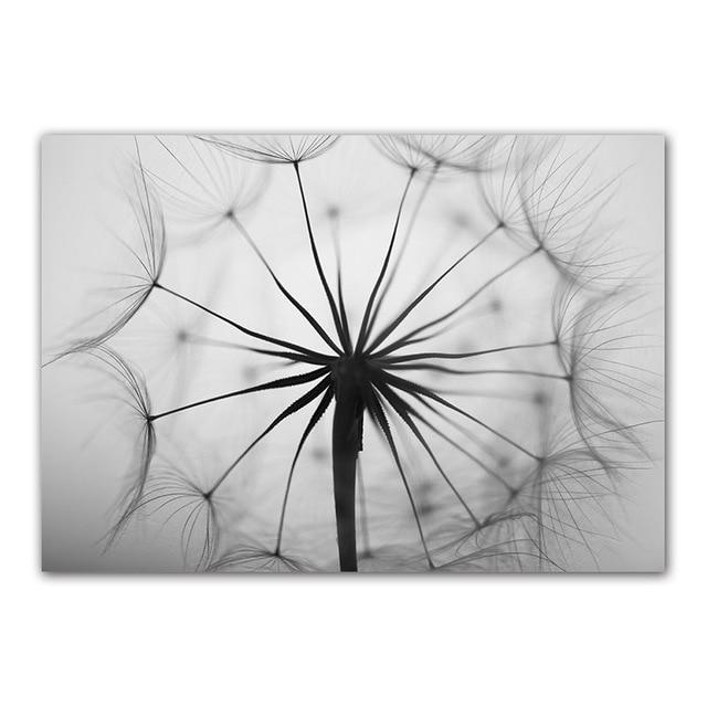 Black & White Dandelion Botanical Canvas Wall Art Print