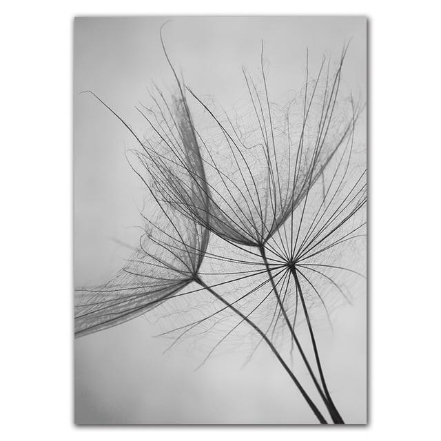 Black & White Dandelion Botanical Canvas Wall Art Print