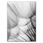 Black & White Dandelion Botanical Canvas Wall Art Print