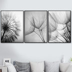 Black and white dandelion botanical canvas wall art