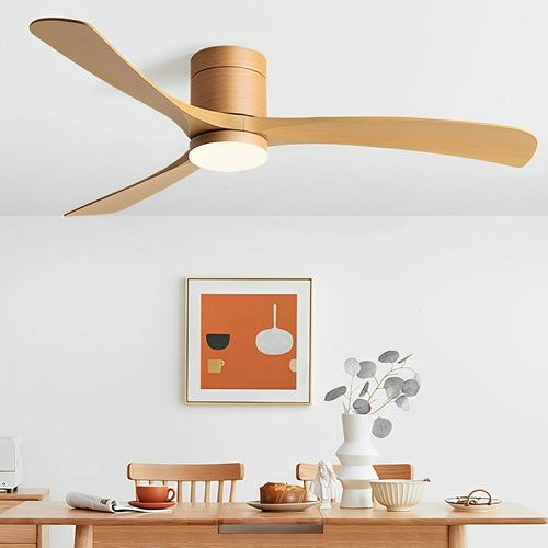 Minimalist ceiling fan with LED light